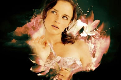 AlexisB Wallpapers!   Alexis Bledel Wallpapers (26358582)   Fanpop