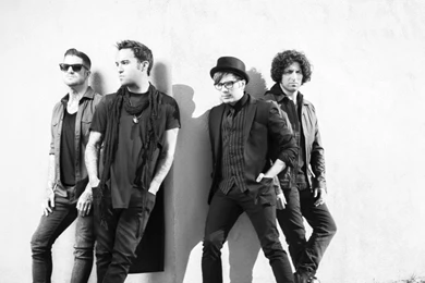 Fall Out Boy Wallpaper, Celebrities / Artists: Fall Out Boy, Top ...