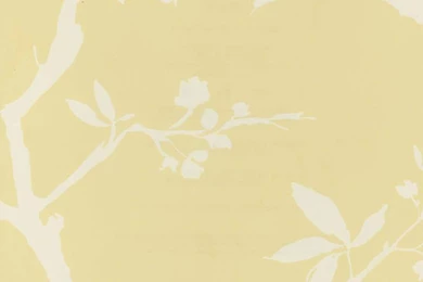 Pale Yellow Dc70605 Classic Floral Wallpapers By Brewster