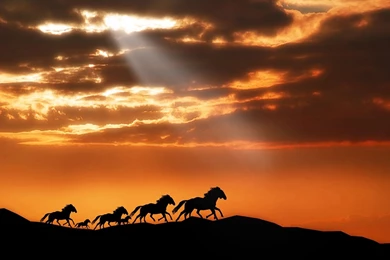 Free Hq Windows 7 Ultimate 6 Wallpapers Free Hq Wallpapers