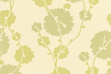 Pale Green Wallpapers   Desktop Backgrounds