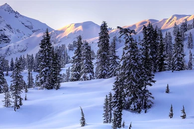 Covered With Snow Under The Ice The World Wallpapers － Landscape ...