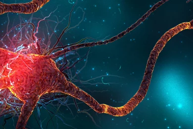 Dual Monitor Wallpapers Collection (37+)