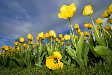 Imgur Wallpapers Collection Part 5