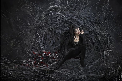 The Queen   The Evil Queen/Regina Mills Wallpapers (32502373)   Fanpop