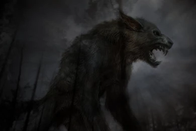 Evil Wolf Images Wallpapers