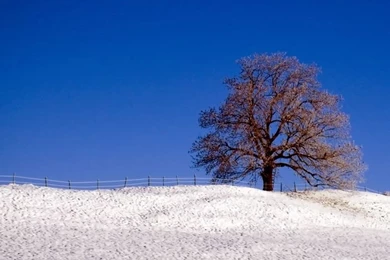 Snowy Winter Landscape & Winter Snow Photography5   Wallcoo.net