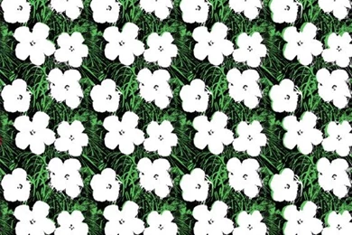 Andy Warhol : Flowers Wall Paper
