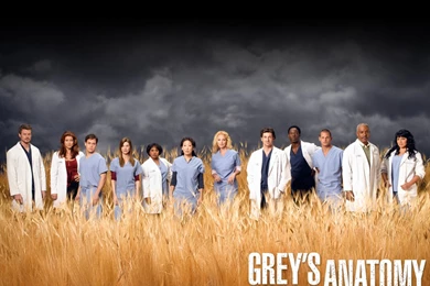 Grey's Anatomy Cast   Grey's Anatomy Wallpapers (34574)   Fanpop
