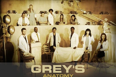 Grey's Anatomy   Grey's Anatomy Wallpapers (1450918)   Fanpop