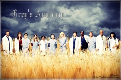 Grey's Anatomy Wallpapers By Andut On DeviantArt