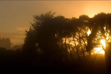 Download Sunsets Nature Wallpapers 2560x1024