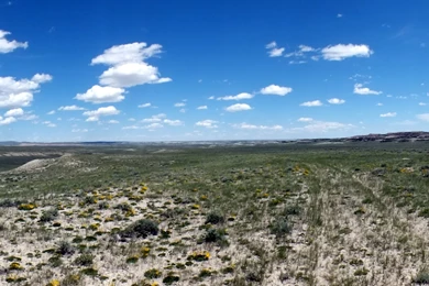 The DIY Hunter   All Entries