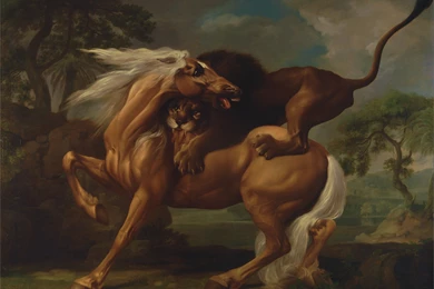 Horse Painting Wallpapers