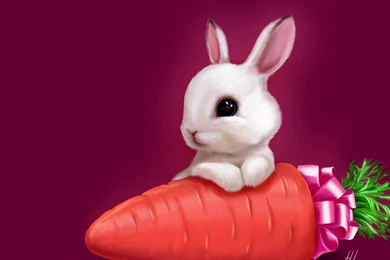 Mac iMac 27 Bunny Wallpapers HD, Desktop Backgrounds 2560x1440