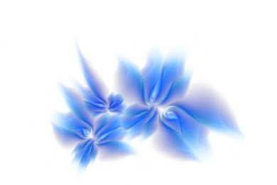 Flower Wallpapers For Desktop 3D HD 4358q   Wallpapers HD Fix