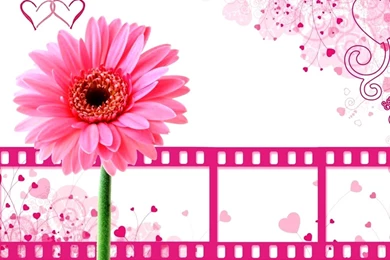 Cute Pink Wallpapers Collection (41+)