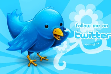 Twitter Followers, Custom, 1920x1200 HD Wallpapers And FREE Stock Photo