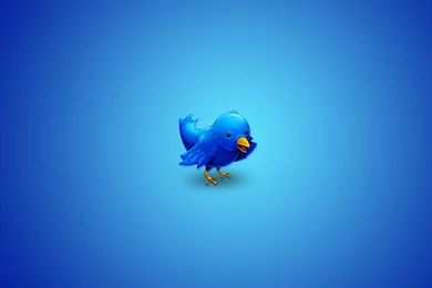 Beauty Twitter Logo HQ Wallpapers