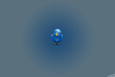 Twitter Wallpapers