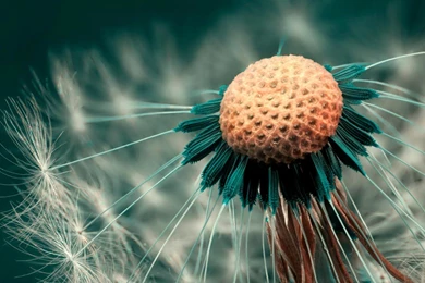 Photography HD Backgrounds / 1920x1080