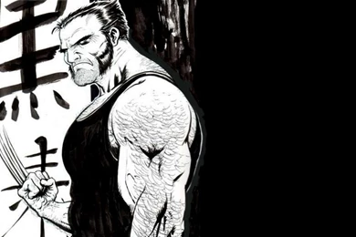 Fantasy: Xmens Wolverine Chinese Symbols, Picture Nr. 6274