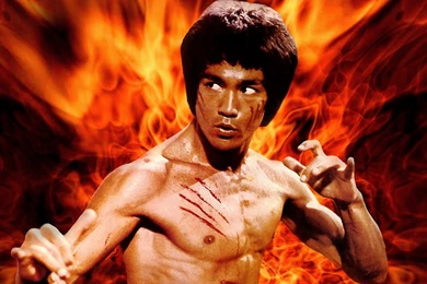 All Wallpapers: Bruce Lee Hd Wallpapers