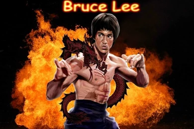Bruce Lee HD Wallpapers Free Download   Wallpapers Zone