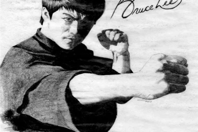Bruce Lee Art HD Wallpapers 1.0 Google Play APK