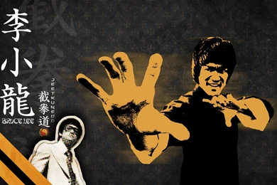 Download Bruce Lee Wallpapers 1920x1200