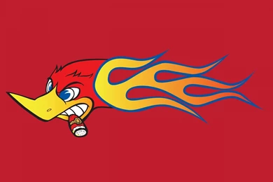 Woody Woodpecker Wallpapers   Wallpapers Zone