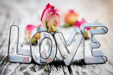 Love With Rose New Wallpapers