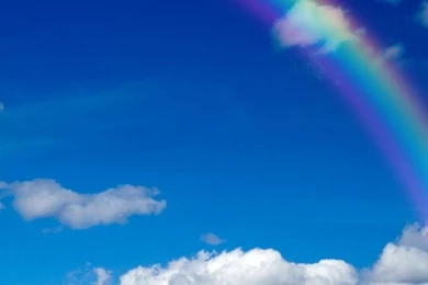 Rainbow Live Wallpapers   Android Apps On Google Play