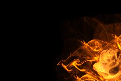 Rose Fire Black Backgrounds HD Wallpapers