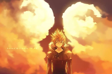 Kingdom Hearts Roxas Wallpapers   (