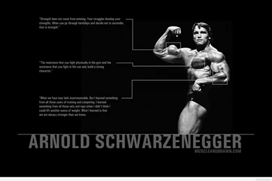 Bodybuilding Iphone Wallpapers And Backgrounds