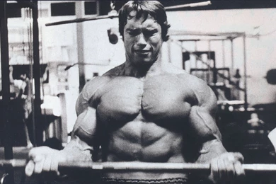 Arnold Schwarzenegger Bodybuilding
