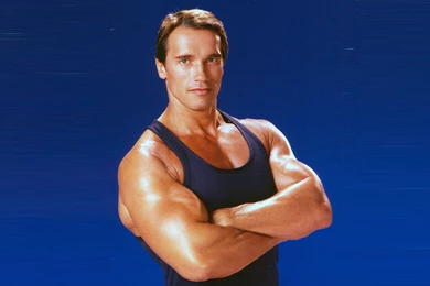 Arnold Schwarzenegger Bodybuilder Wallpapers