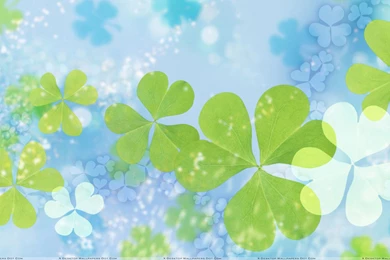 Green Leaves On Cool Blue Backgrounds Wallpapers