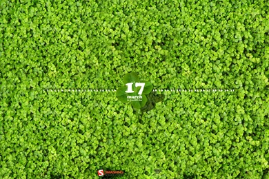 March, Calendar, 1920x1200 HD Wallpapers And FREE Stock Photo