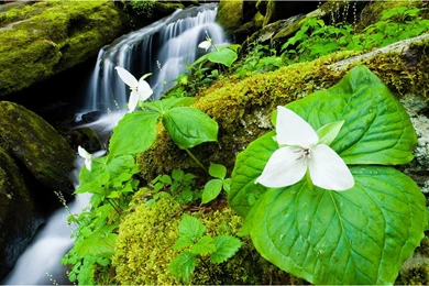 The Webshots Fine Photography In March 2012 Wallpapers 4 ...