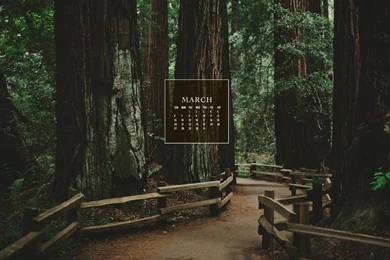 Free March 2016 Calendar Wallpapers   Blythe Ponytail Parades