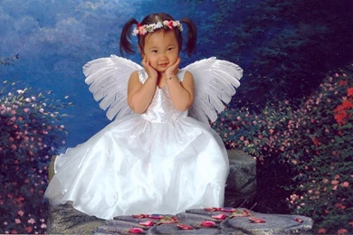 LITTLE ANGEL WALLPAPER   (