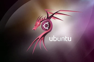 Ubuntu Dragon Wallpapers 2010 By Petrsimcik On DeviantArt