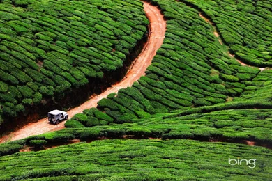 Kerala Tourism Hd Wallpapers 10 : Image 2 Puzzle   Play With Your ...