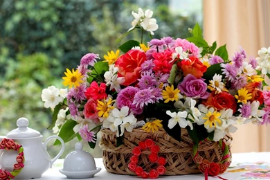 Rose Flower Wallpapers