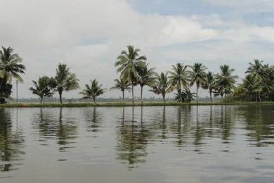 Kerala Tourism