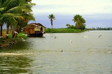 Tourism In Kerala (id: 42519) – BUZZERG
