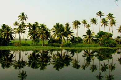 Kerala Nature Wallpapers   Widescreen HD Wallpapers