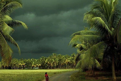 Nature Wallpapers Kerala – Nature Wallpapers